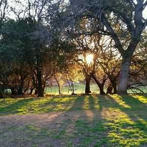 Meet your Posher, Ruby